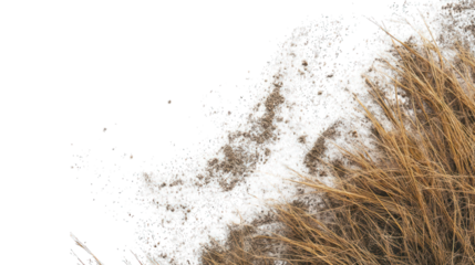 Dry grass and dust particles, top view --ar 16:9