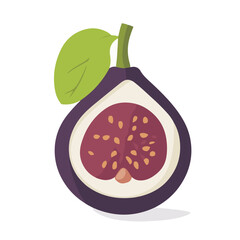 Very Simple flat 2D illustration sliced purple fig branch leaf isolated on transparent background, vector, flat design, animation design, simple flat 2D icon, clipart