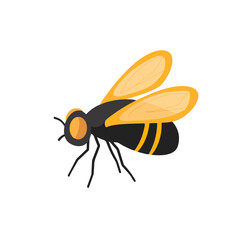 Very Simple flat 2D illustration fly isolated on transparent background, vector, flat design, animation design, simple flat 2D icon, clipart