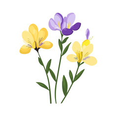 Very Simple flat 2D illustration purple yellow freesia isolated on transparent background, vector, flat design, animation design, simple flat 2D icon, clipart