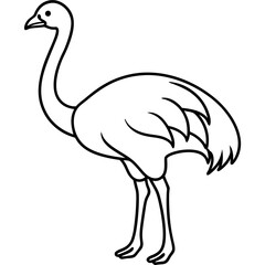 Elegant Single Line Ostrich Vector Illustration