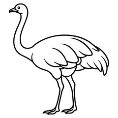 Elegant Single Line Ostrich Vector Illustration