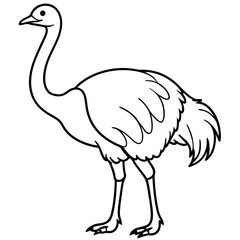 Elegant Single Line Ostrich Vector Illustration