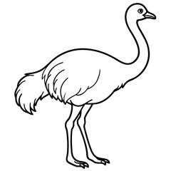 Elegant Single Line Ostrich Vector Illustration