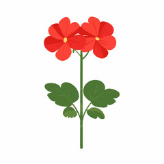 Very Simple flat 2D illustration red geranium branch with green leaf isolated on transparent background, vector, flat design, animation design, simple flat 2D icon, clipart