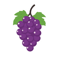 Very Simple flat 2D illustration purple grape branch in white bowl isolated on transparent background, vector, flat design, animation design, simple flat 2D icon, clipart