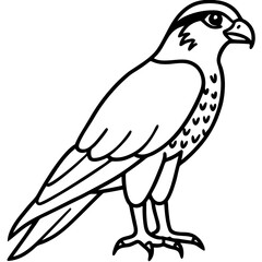 Falcon Line Art Vector