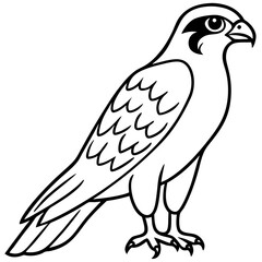 Fototapeta premium Falcon Line Art Vector