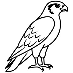 Falcon Line Art Vector