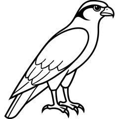 Falcon Line Art Vector