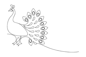 Elegant One Line Drawing of a Majestic Peacock Bird