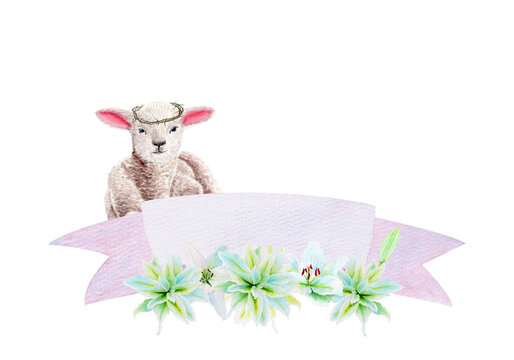 White lily garland, banner and lamb with a crown of thorns watercolor composition isolated on white. High quality art perfect for cards, posters, stickers, Easter, Holy Thursday, christening baptism