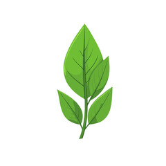 Simple flat 2D illustration laurel leaf isolated on transparent background, vector, flat design, animation design, simple flat 2D icon, clipart