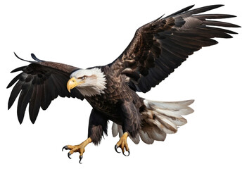 Fototapeta premium Powerful Bald Eagle in Flight Against a Black Background