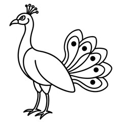 Minimalist Peacock Line Art Vector