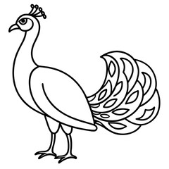 Minimalist Peacock Line Art Vector