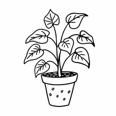 Potted Plant Line Art Illustration with Heart Shaped Leaves in Simple Black and White