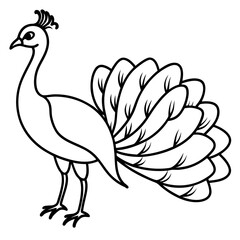 Minimalist Peacock Line Art Vector
