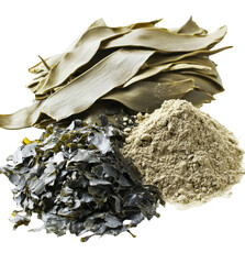 Kelp Seaweed,  Dried and Powdered Forms