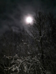 Full moon. Winter night sky. A round moon shines through the cloudy sky. White snow lies on the tree branches. Bright glow. Mystical landscape.
