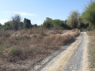 Rural roads and dry environment in summer in Asia (Thailand)