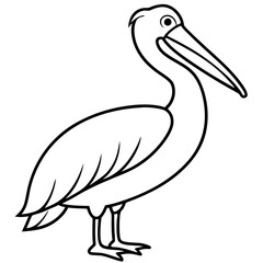 Minimalist Pelican Line Art Vector