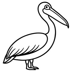Minimalist Pelican Line Art Vector