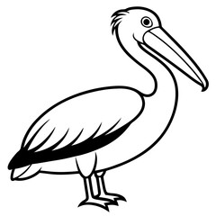 Minimalist Pelican Line Art Vector