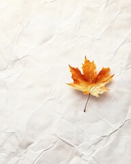Autumn Maple Leaf on Crumpled Beige Paper Texture Background with Copy Space.