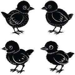 set of birds
