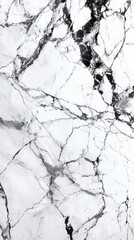 Obraz premium Veined Elegance: A close-up view of polished marble reveals a stunning display of natural patterns and textures, the interplay of light and shadow accentuating its inherent beauty and luxury.