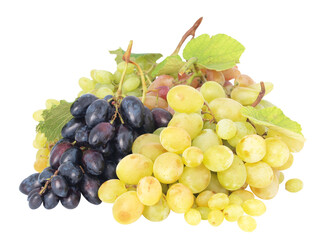 Bunch of grapes isolated