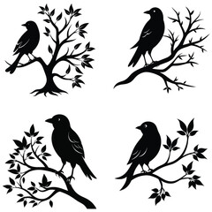 birds on a branch