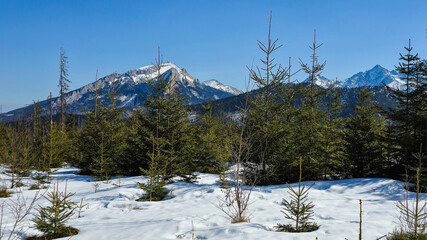 View of the peaks of the Tatra Mountains in Poland.