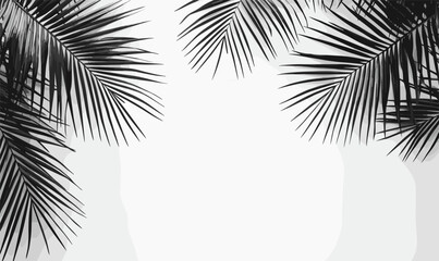 Obraz premium Monochrome palm leaves border with negative space, vector, flat icons set.