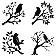 birds on a branch