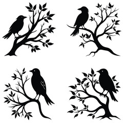 birds on a branch