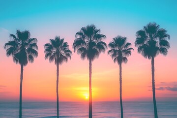 Coastal Sunset Silhouette Palms