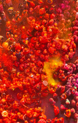 drone shot of barsane holi view