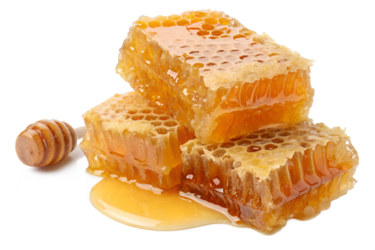 Three pieces of honeycomb with a honey drizzle on top isolated on transparent background