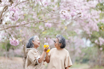 Fototapeta premium Two elderly women enjoy a refreshing moment under blooming cherry blossoms, holding glasses of orange juice. They share smiles and laughter, embracing the beauty of nature and their friendship.