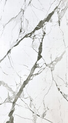 Fototapeta premium Marble Texture: A detailed shot of a white marble slab with striking grey veining, showcasing its natural beauty and elegance.
