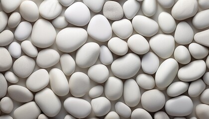  White Pebble Stones Texture with Smooth Surfaces