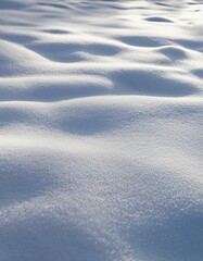  Snow-Covered Ground Texture with Soft Shadows
