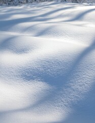 Fototapeta premium Snow-Covered Ground Texture with Soft Shadows