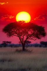 Fototapete A photo of an endless savanna under a deep red sunset © Jessy Art
