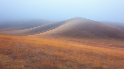Misty Hills Golden Grassland Scenic Landscape