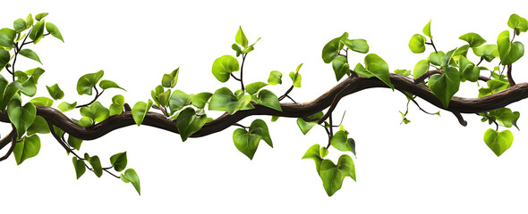 Tangled vines isolated on a white background as transparent PNG. AI GENERATED