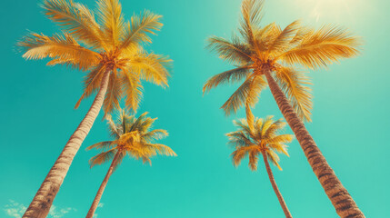 Tall palm trees against a sunny turquoise sky.