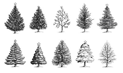 Obraz premium Hand-drawn christmas tree collection with various styles, vector, linear icons set.